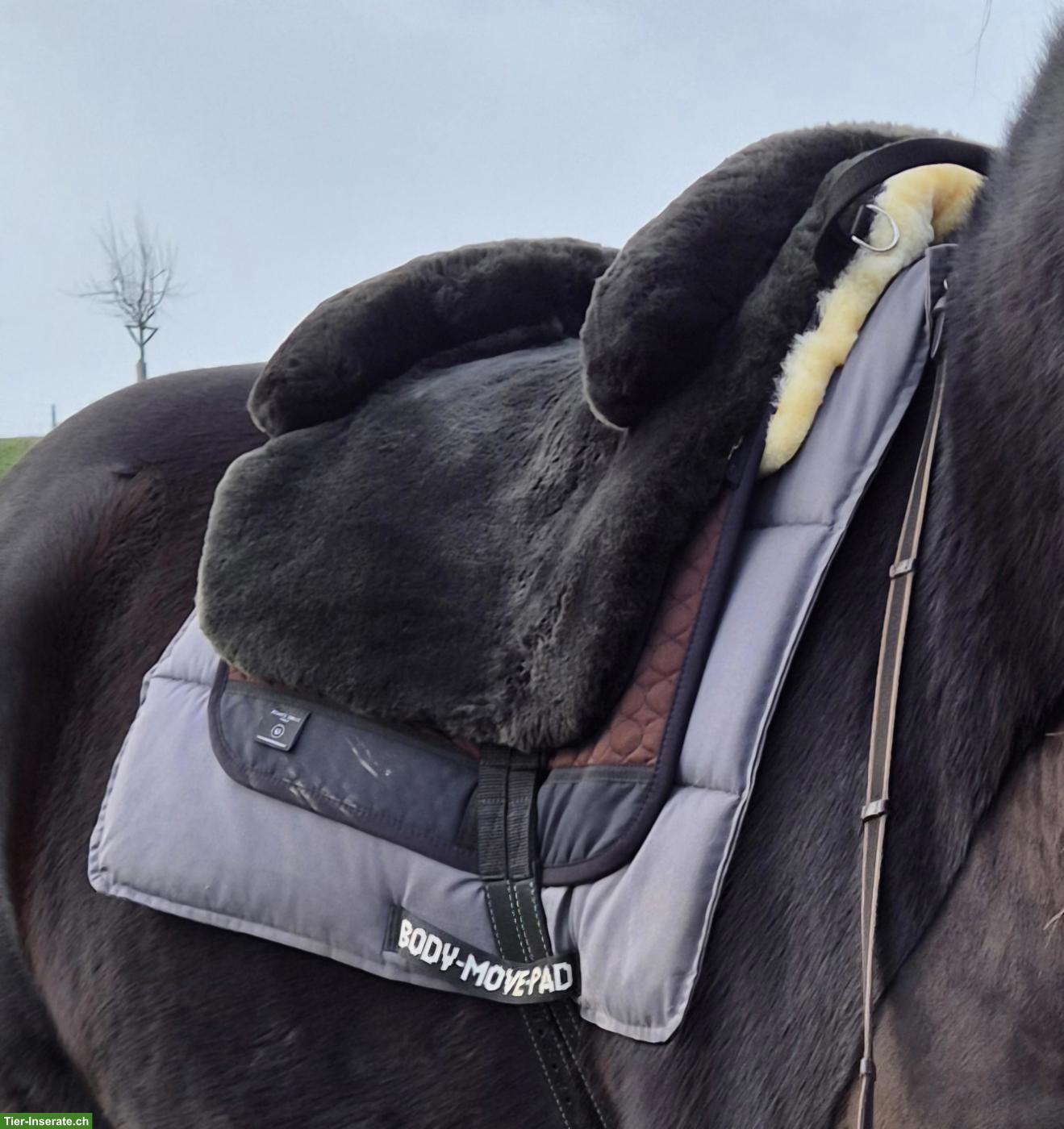 Christ Fellsattel Iberica Plus braun/braun/natur WB