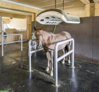 Anbindstangen mit Anbindringen, ideal für Pferdesolarium