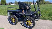 Wagonette Einspänner Kutsche zu verkaufen