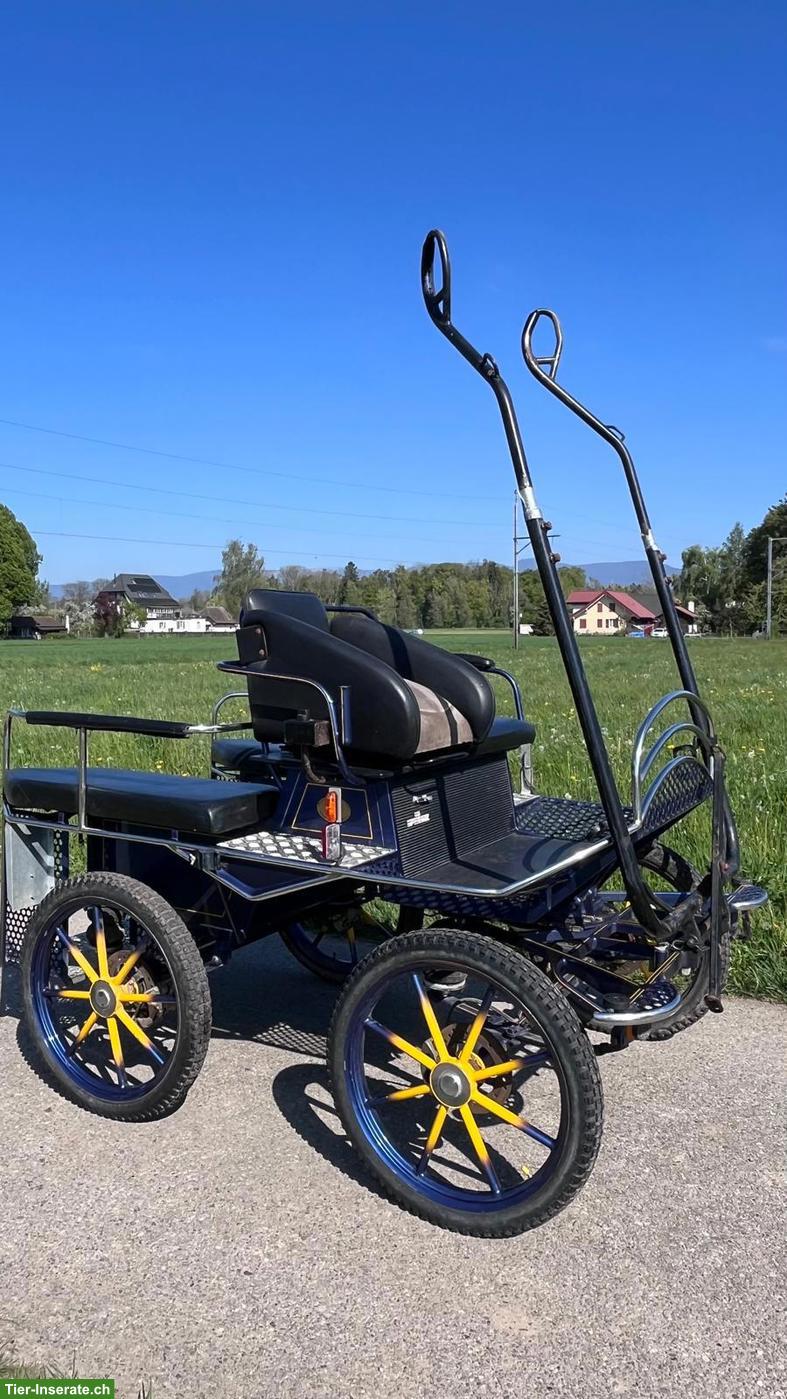 Bild 2: Wagonette Einspänner Kutsche zu verkaufen