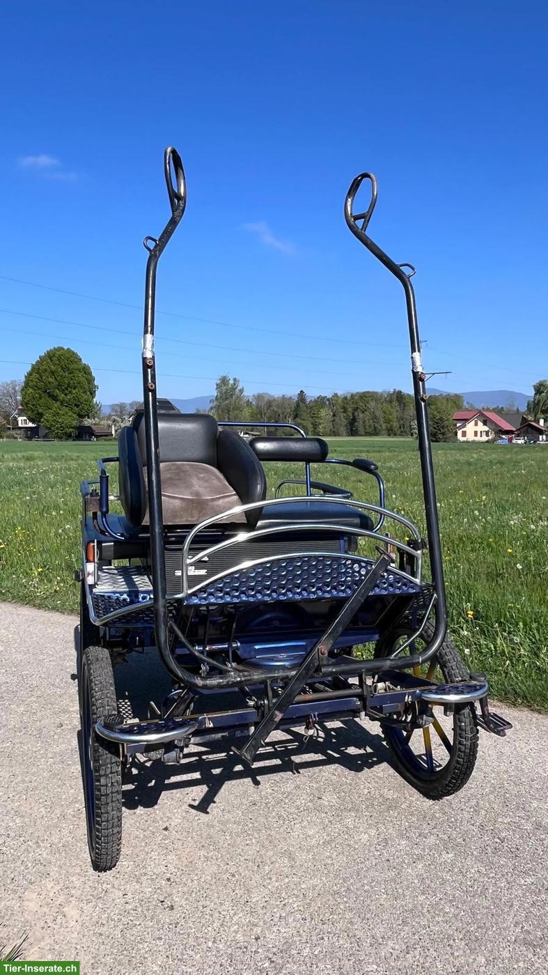 Bild 3: Wagonette Einspänner Kutsche zu verkaufen