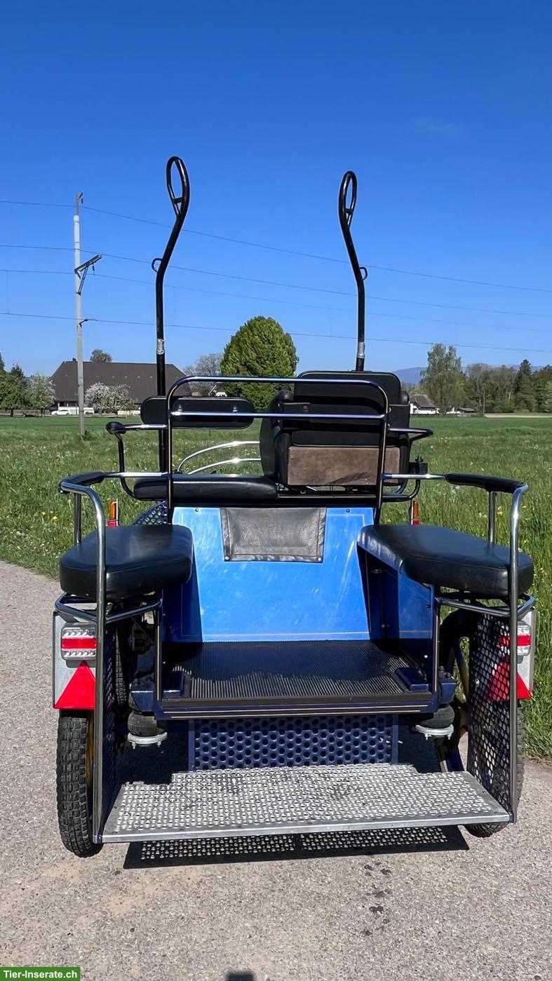 Bild 4: Wagonette Einspänner Kutsche zu verkaufen