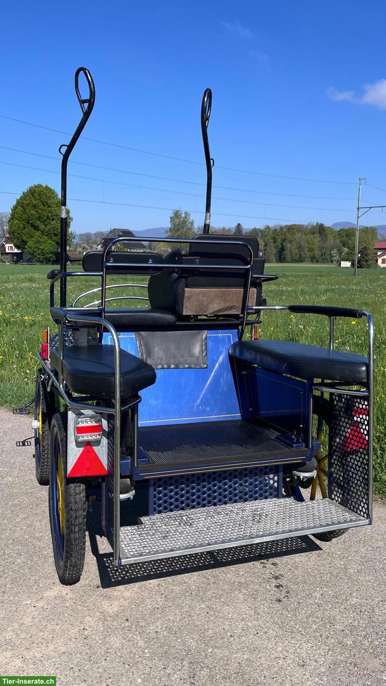 Bild 5: Wagonette Einspänner Kutsche zu verkaufen