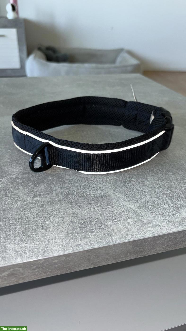 Bild 2: Neues Hundehalsband Grösse XXL, 55-60cm