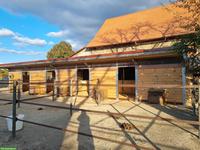 Pferde-Auslaufboxen in Alten ZH zu vermieten