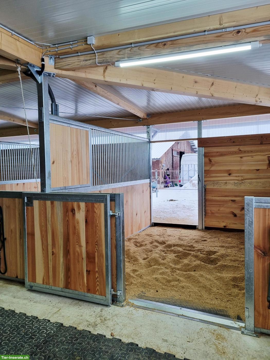 Bild 4: Pferde-Auslaufboxen in Alten ZH zu vermieten