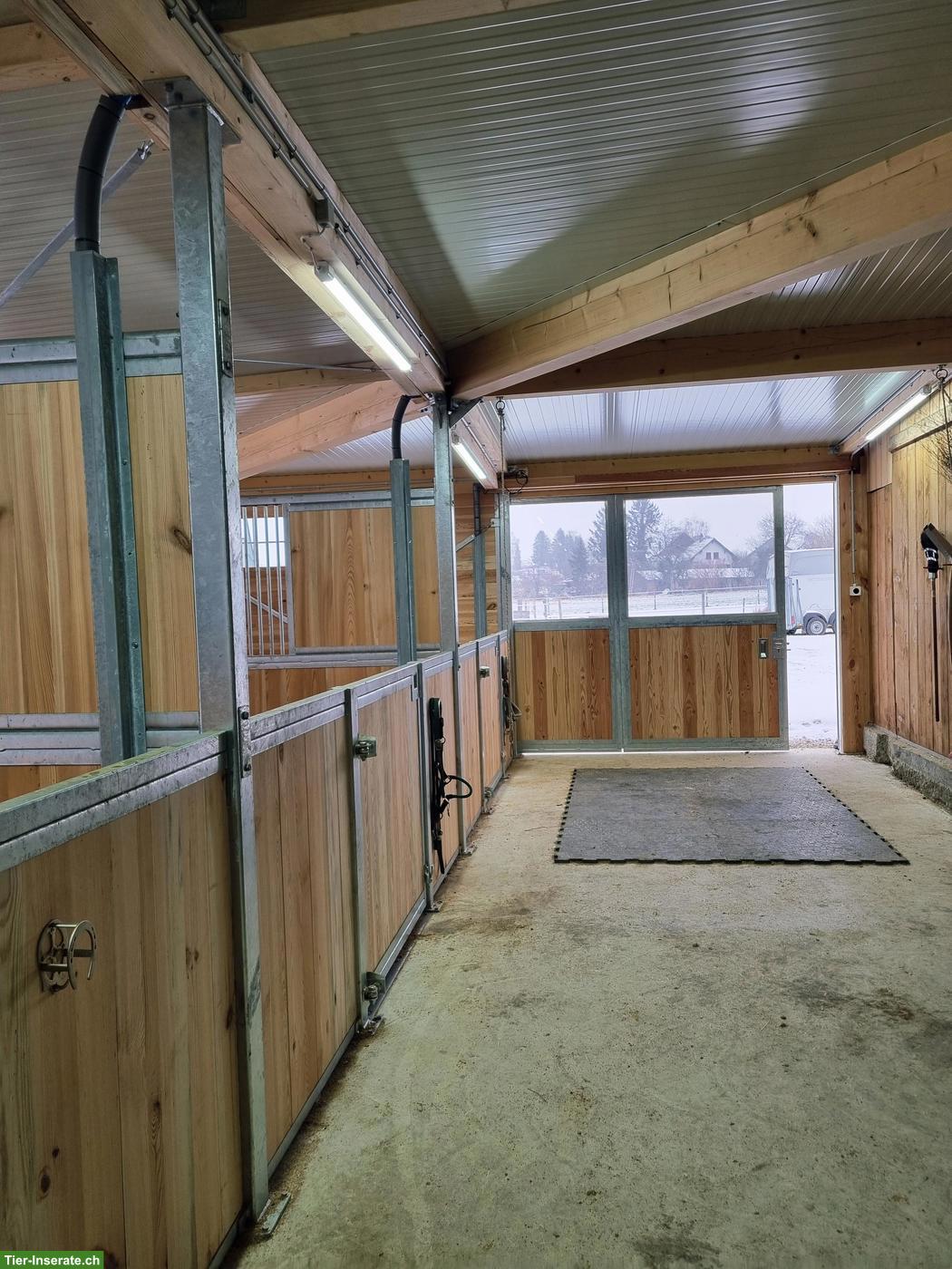 Bild 5: Pferde-Auslaufboxen in Alten ZH zu vermieten