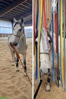 Pflegebeteiligung in Dielsdorf, ZH-Unterland