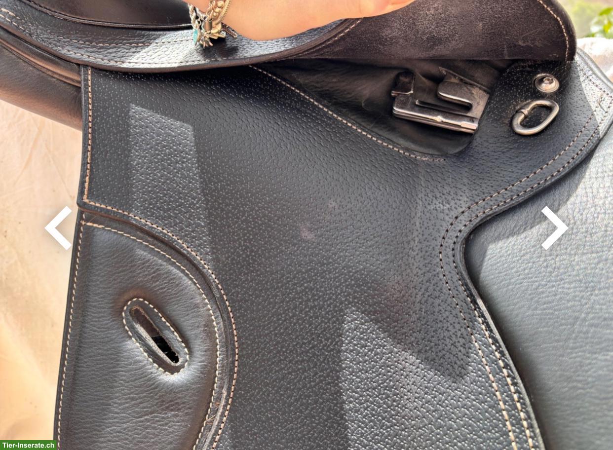Bild 4: Vielseitigkeitssattel 17.5 Zoll zu verkaufen