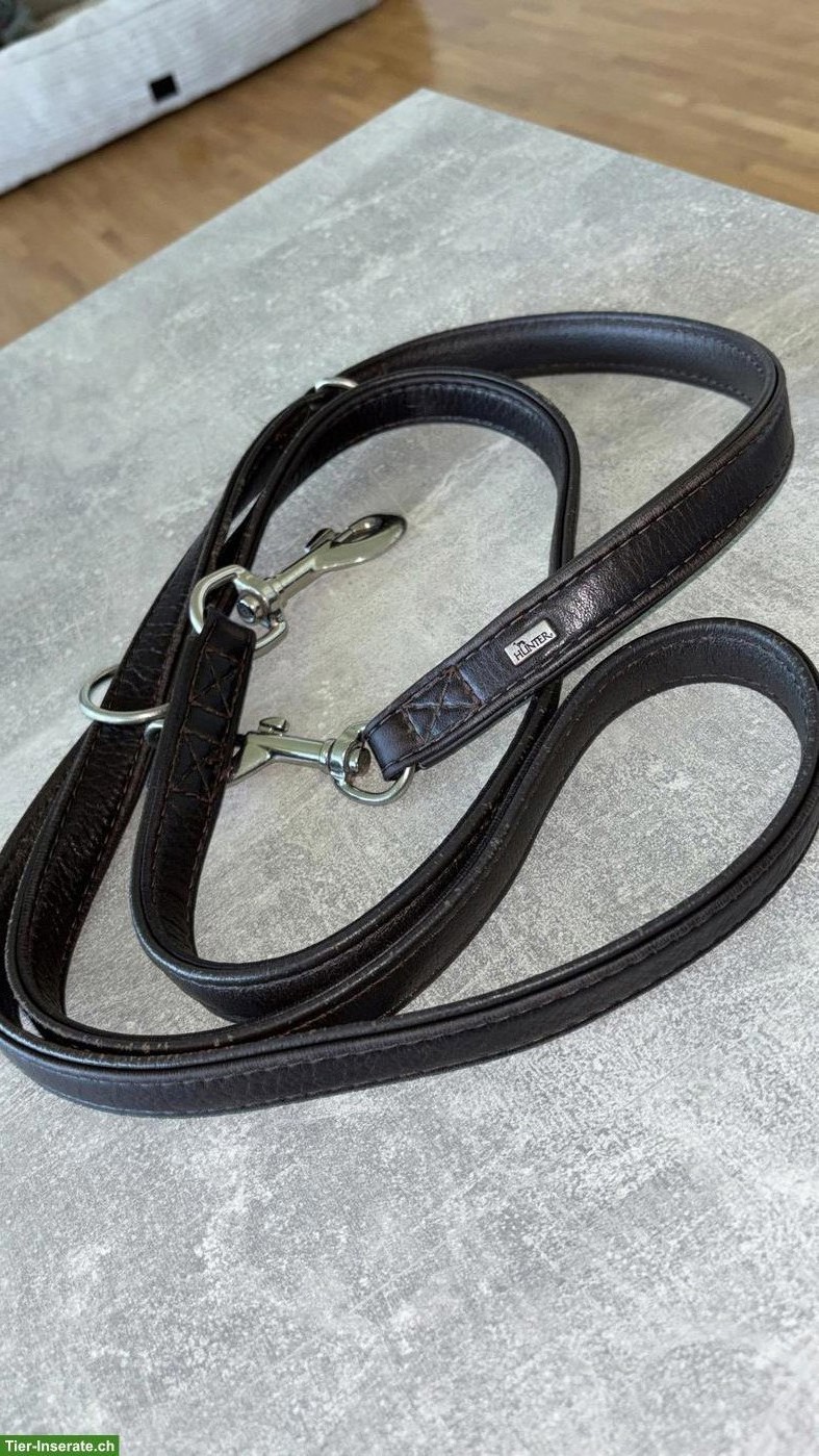 Bild 3: HUNTER Leder Hundeleine - braun zu verkaufen