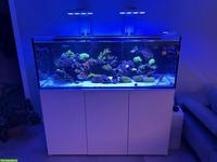 Meerwasseraquarium Aqua Medic Komplettset zu verkaufen