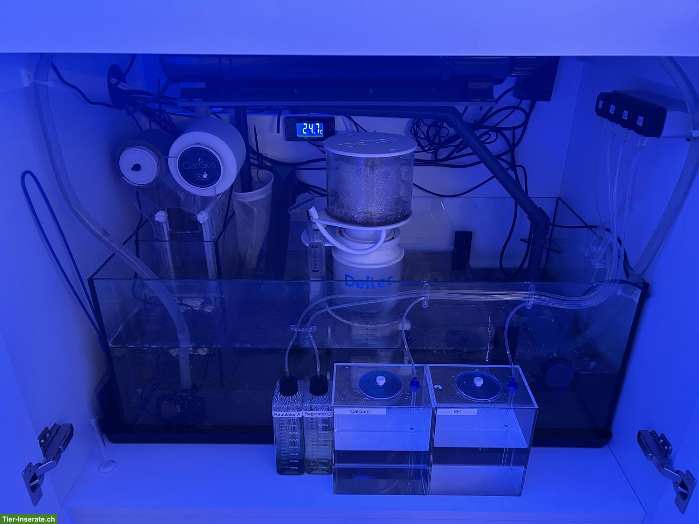 Bild 2: Meerwasseraquarium Aqua Medic Komplettset zu verkaufen