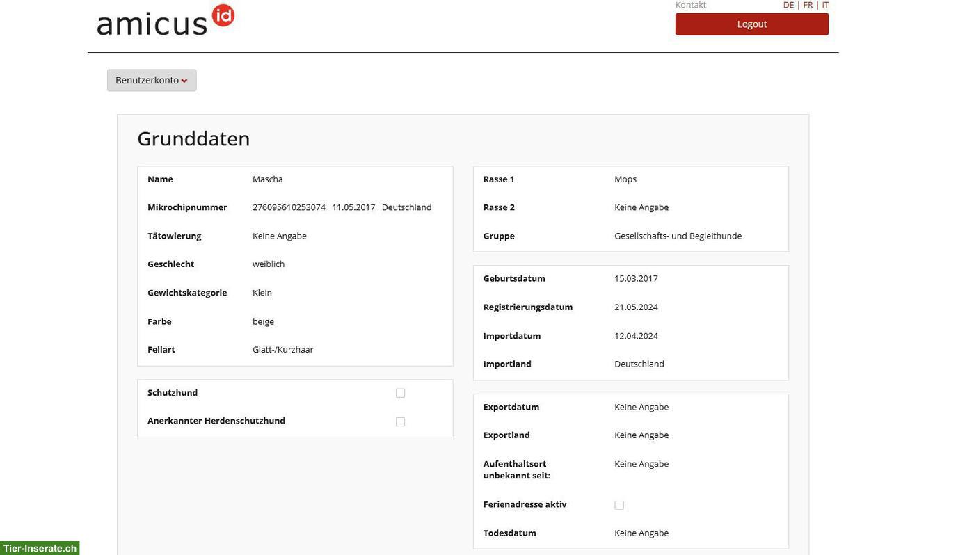 Bild 3: Mops Hündin abzugeben