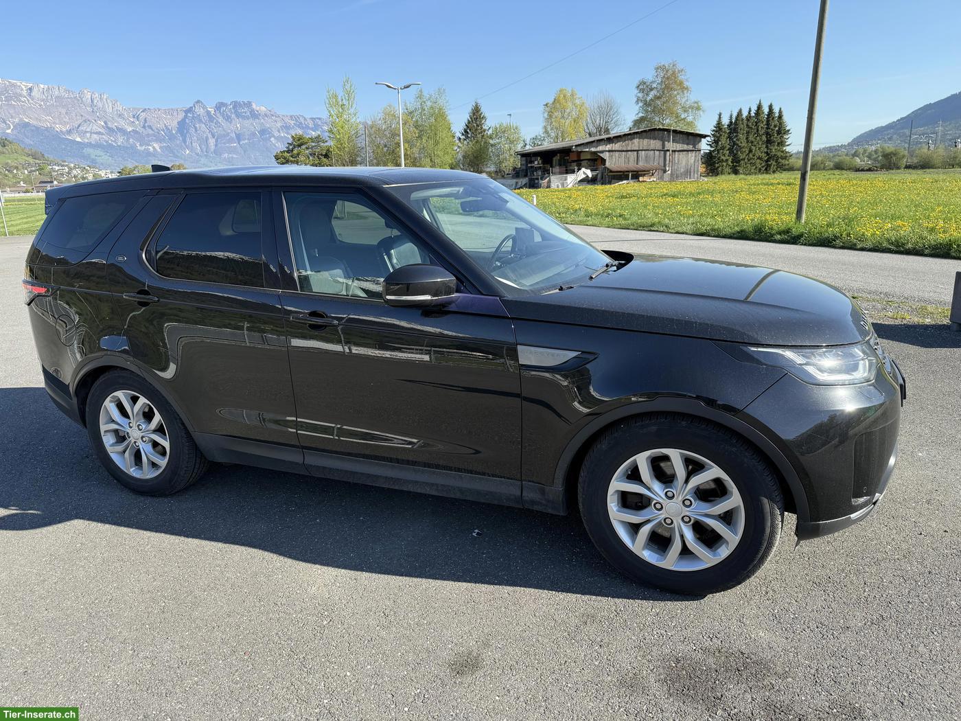 Land Rover Discovery zu verkaufen - Top Zugfahrzeug bis 3.5t