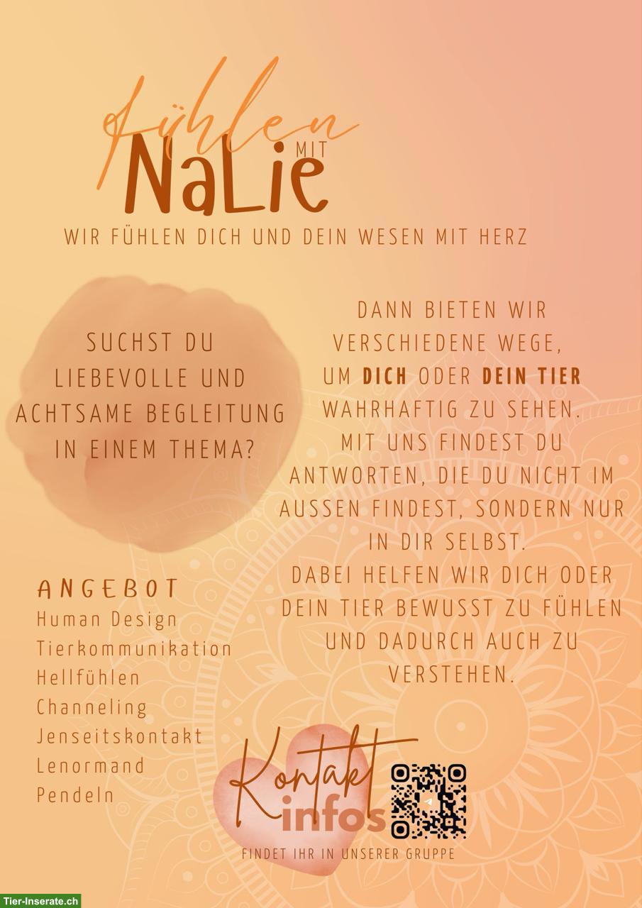 Liebevolle Spirituelle Begleitung für dich und dein Tier