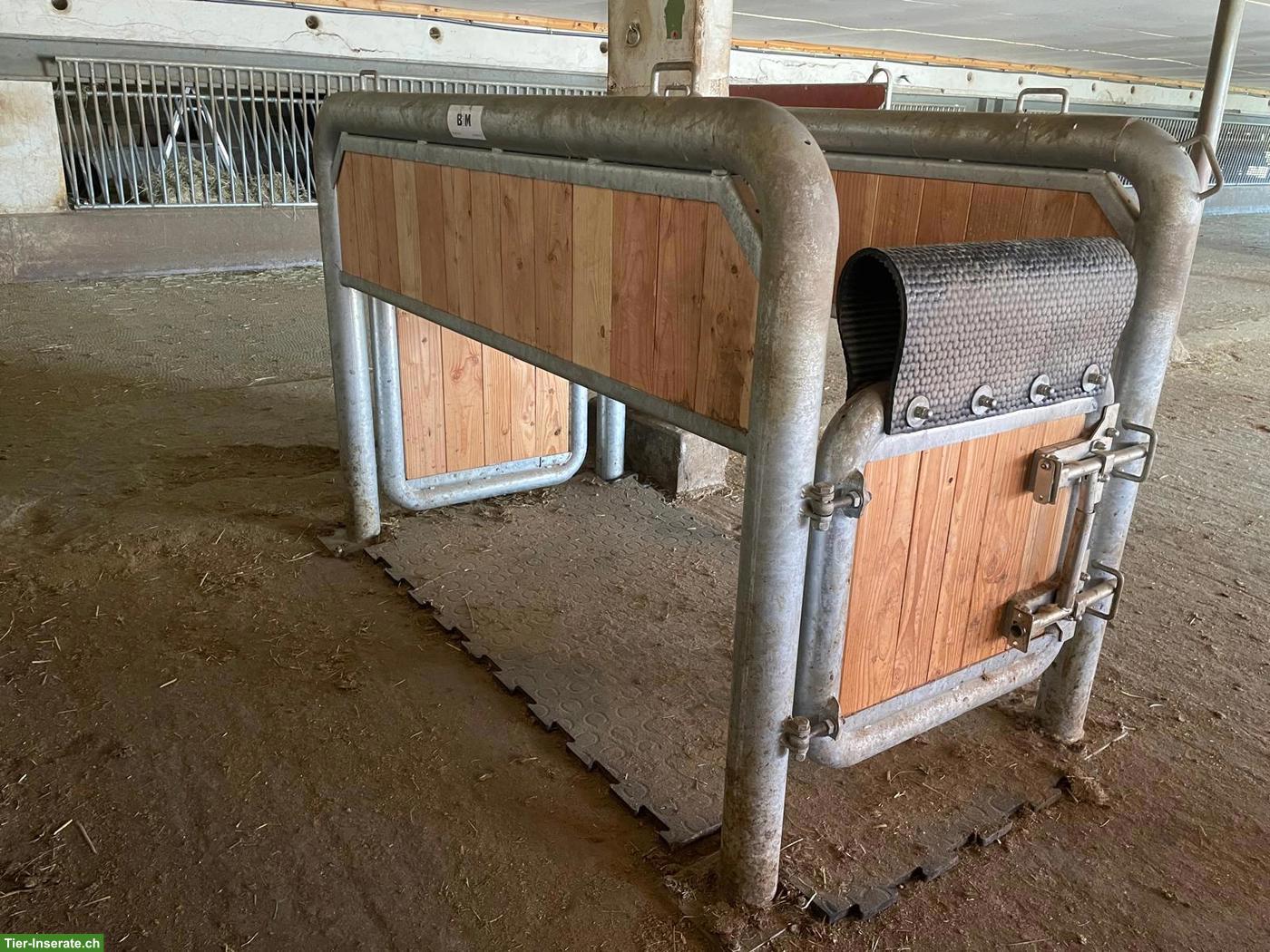 Bild 3: Pferdestall-Auflösung: Panel, Boxenelemente & Sonstiges zu verkaufen