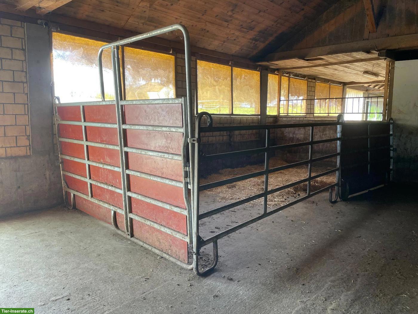 Bild 4: Pferdestall-Auflösung: Panel, Boxenelemente & Sonstiges zu verkaufen