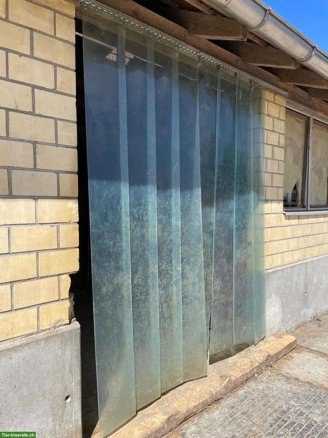 Bild 5: Pferdestall-Auflösung: Panel, Boxenelemente & Sonstiges zu verkaufen