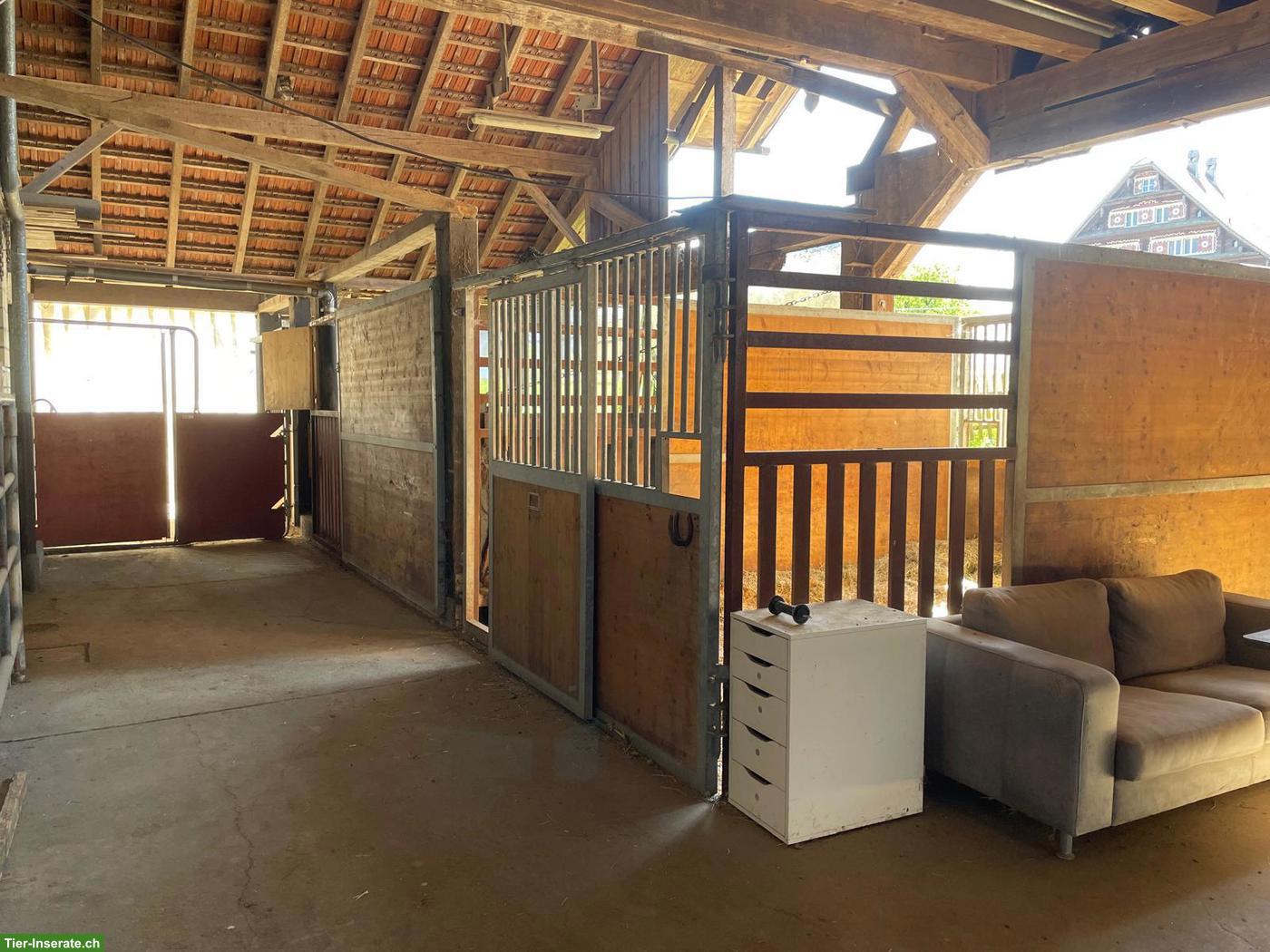 Bild 6: Pferdestall-Auflösung: Panel, Boxenelemente & Sonstiges zu verkaufen