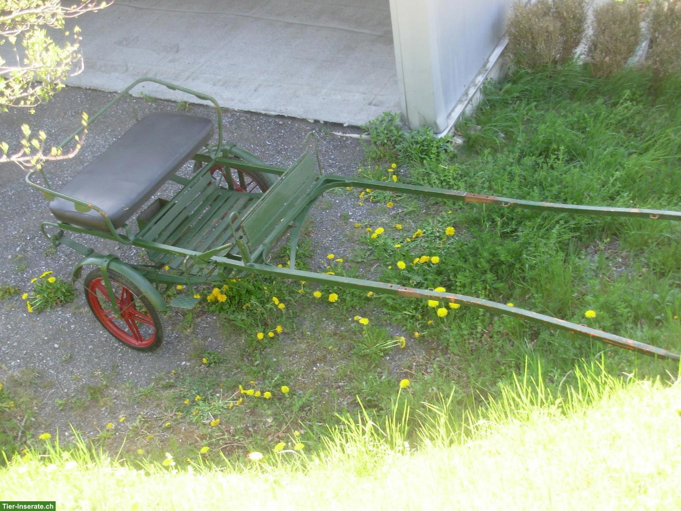 Sulky für Pony oder Esel zu verkaufen