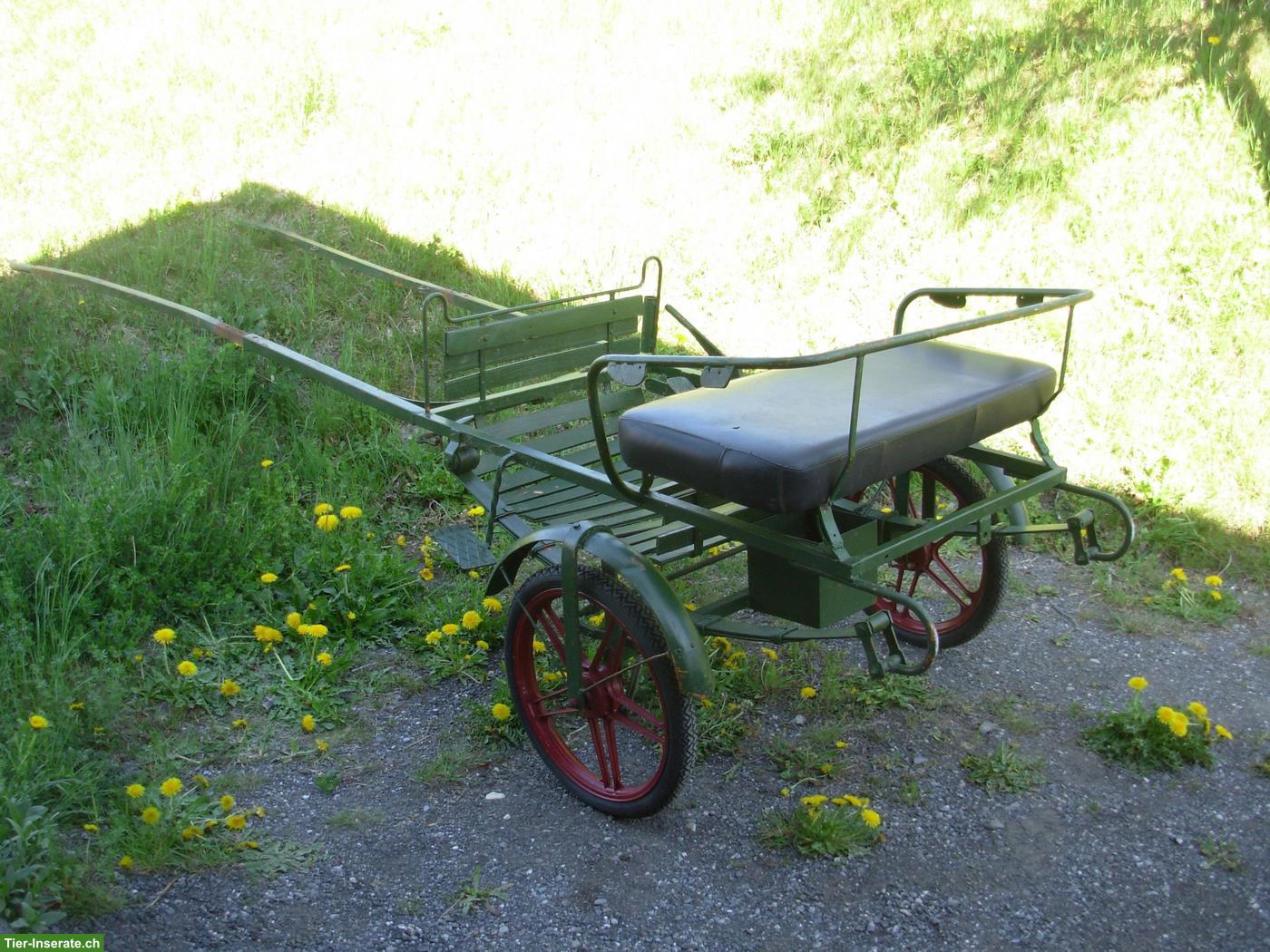 Bild 2: Sulky für Pony oder Esel zu verkaufen