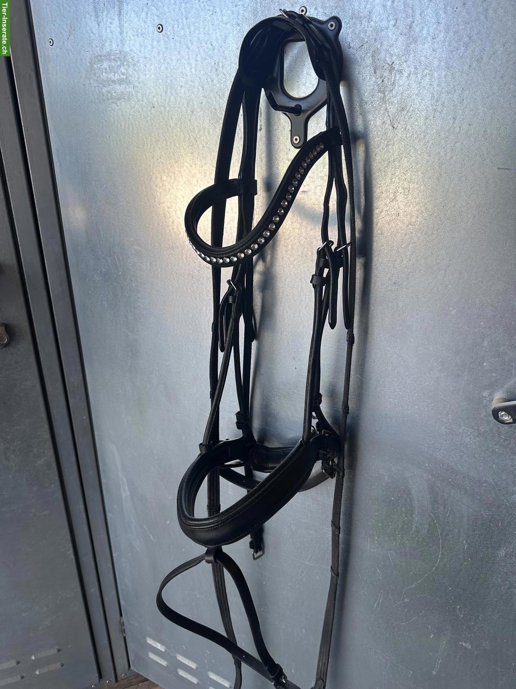 Pferdezaum inkl. Zügel Gr. WB zu verkaufen.