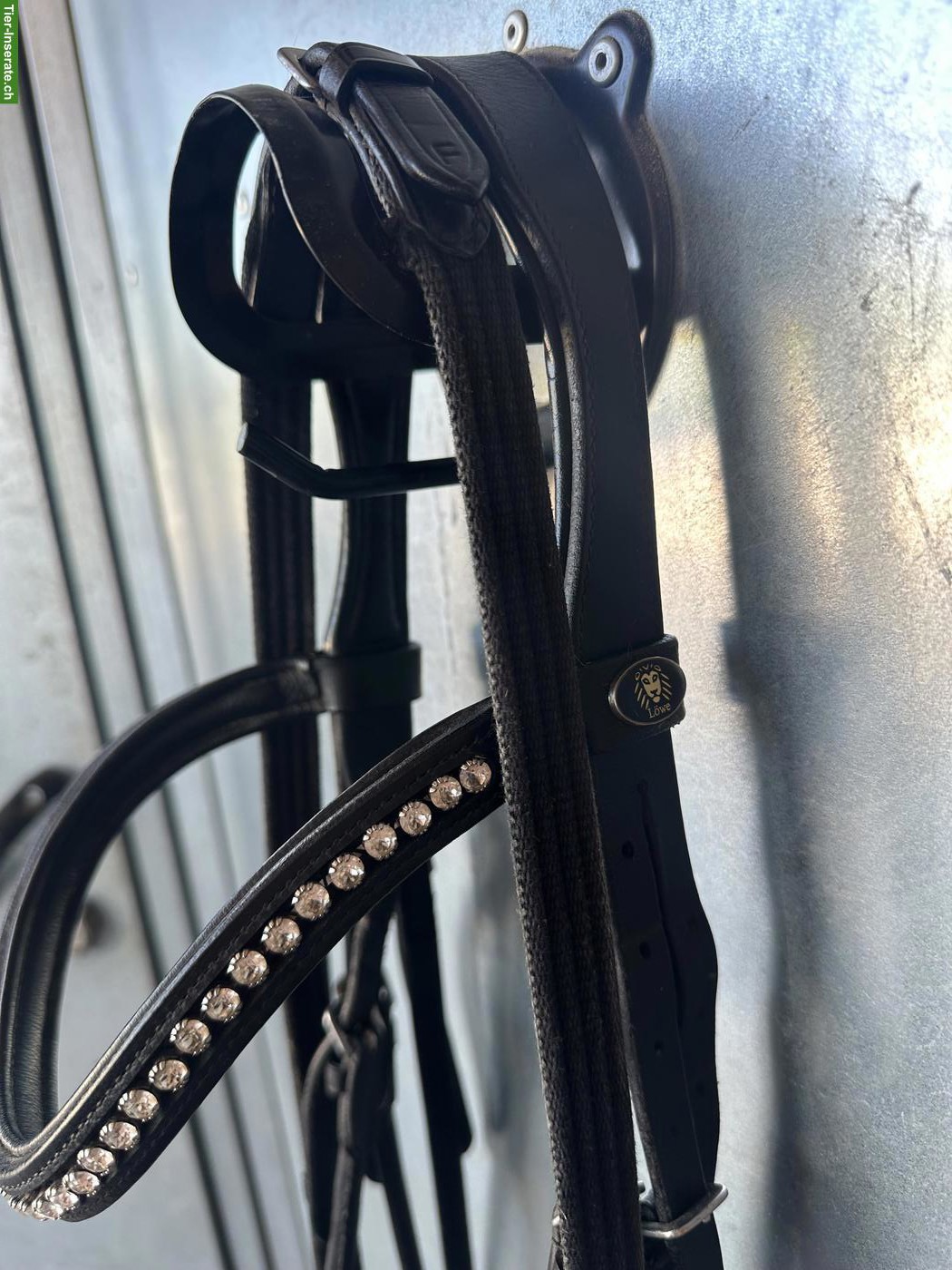 Bild 2: Pferdezaum inkl. Zügel Gr. WB zu verkaufen.