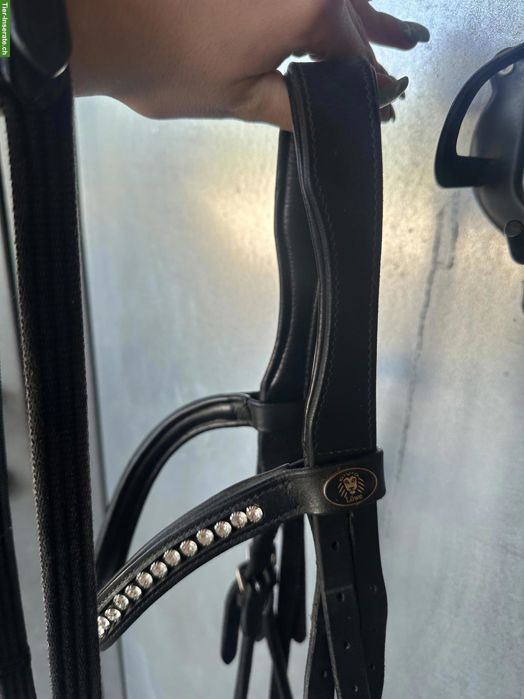 Bild 3: Pferdezaum inkl. Zügel Gr. WB zu verkaufen.