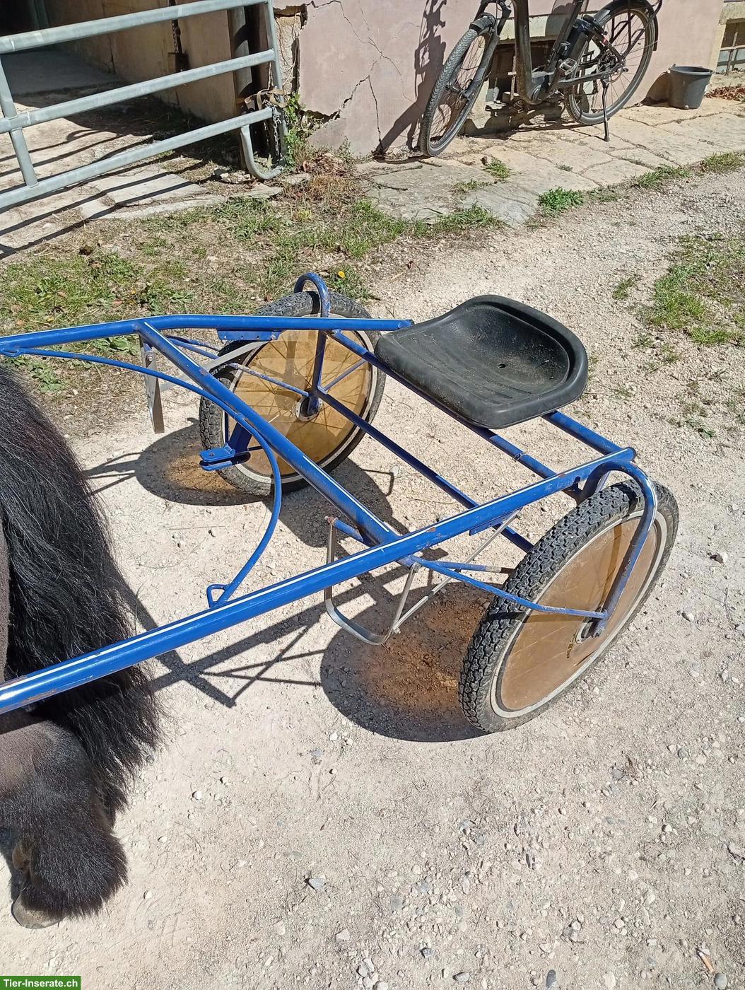 Pony Rennsulky zu verkaufen