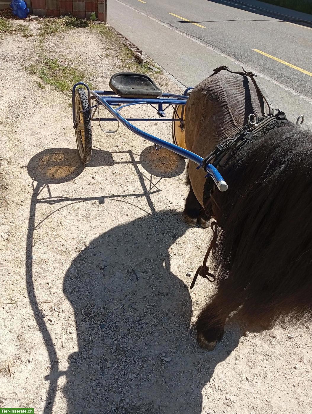 Bild 2: Pony Rennsulky zu verkaufen