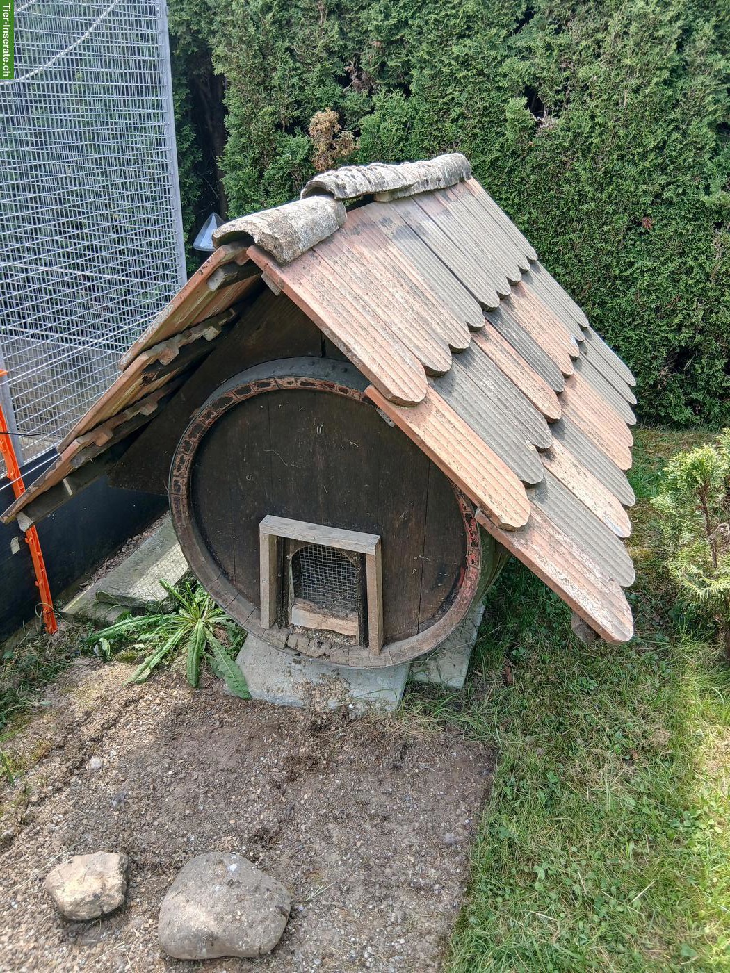 Kleintierstall gratis abzugeben