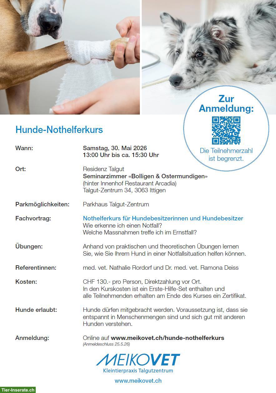 Hunde Nothelferkurs von MeikoVet Kleintierpraxis Ittigen