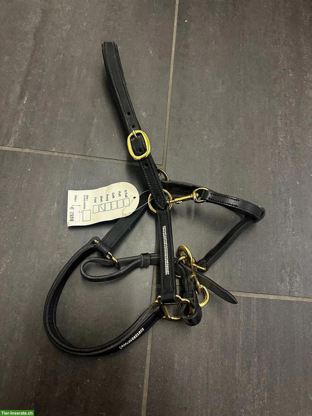 Neues Lederhalfter für Shetlandpony mit Glitzersteinen