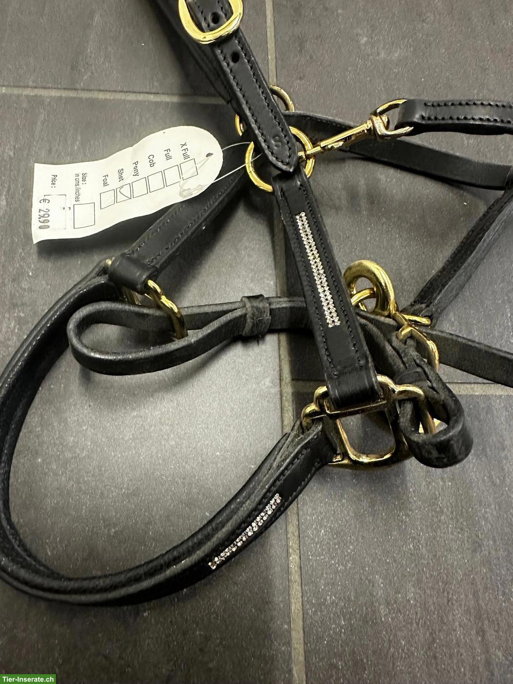 Bild 2: Neues Lederhalfter für Shetlandpony mit Glitzersteinen