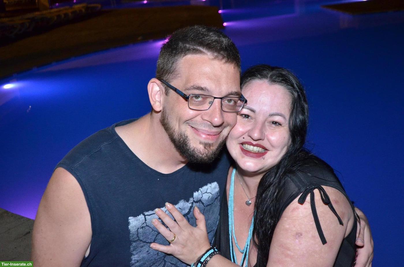 Bild 3: Männlichen Welpen gesucht - bieten einen Lebensplatz!