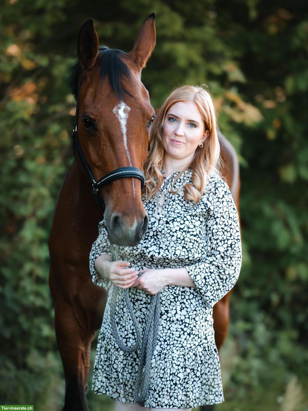 Biete Platz ans Futter oder vorübergehende Auslaufboxe in Schaffhausen