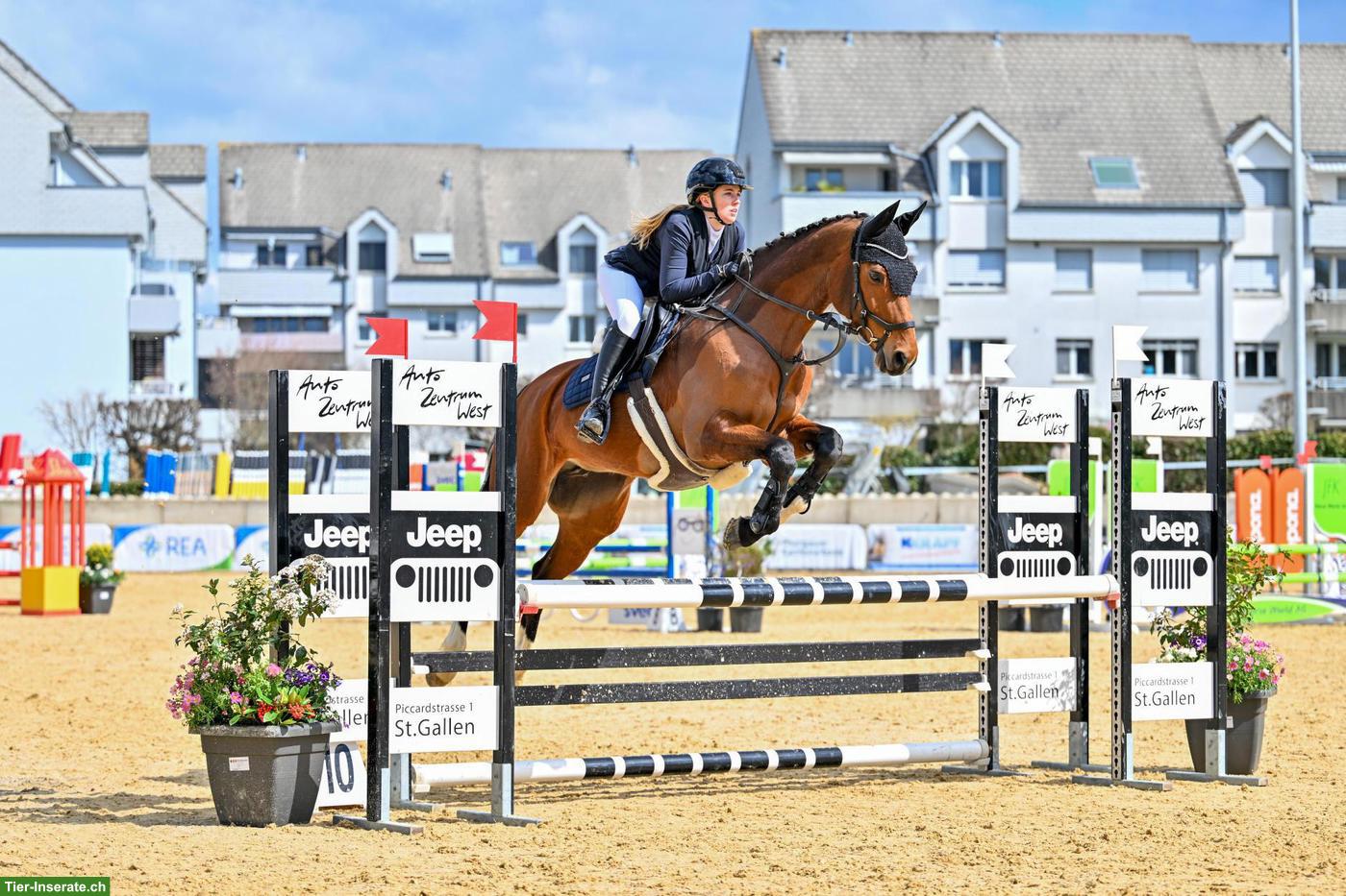 Bild 2: Biete Platz ans Futter oder vorübergehende Auslaufboxe in Schaffhausen