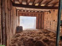 Offenstall für 2-3 Pferde/Ponys in Waldkirch SG