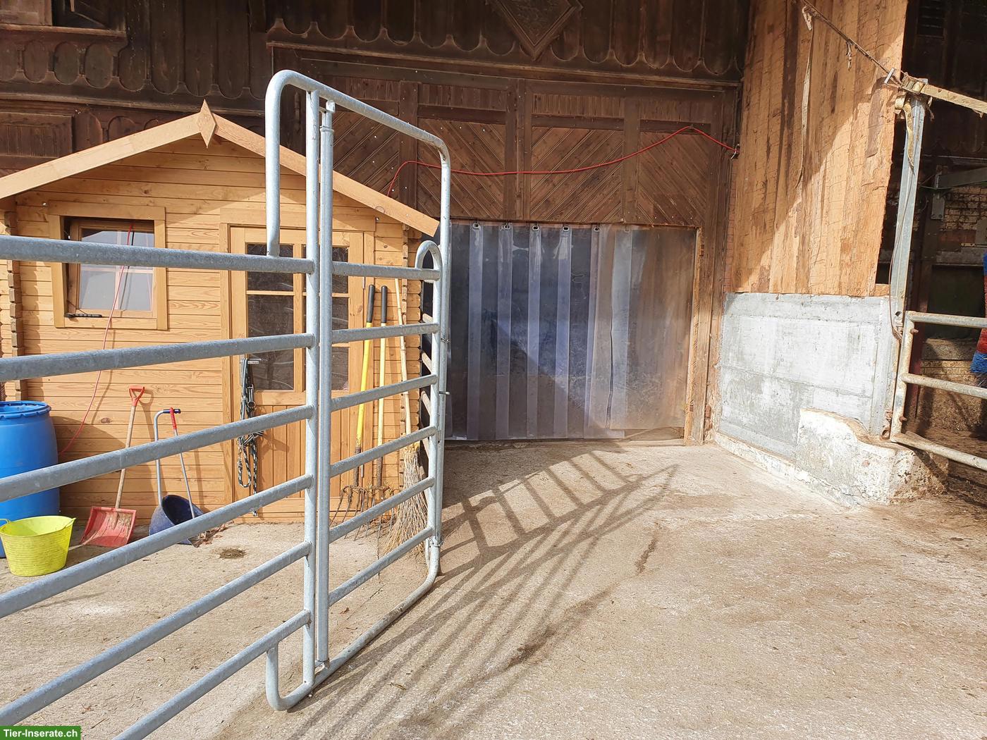 Bild 4: Offenstall für 2-3 Pferde/Ponys in Waldkirch SG