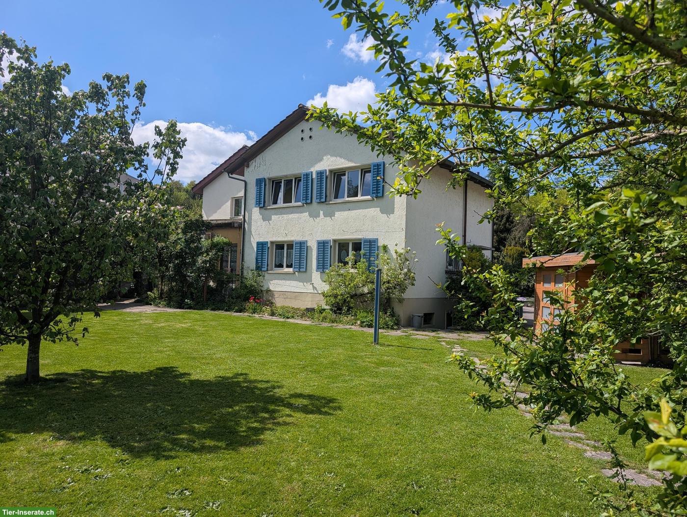 Einfamilienhaus 6.5-Zimmer für Tierliebhaber mit viel Platz, Hausen AG