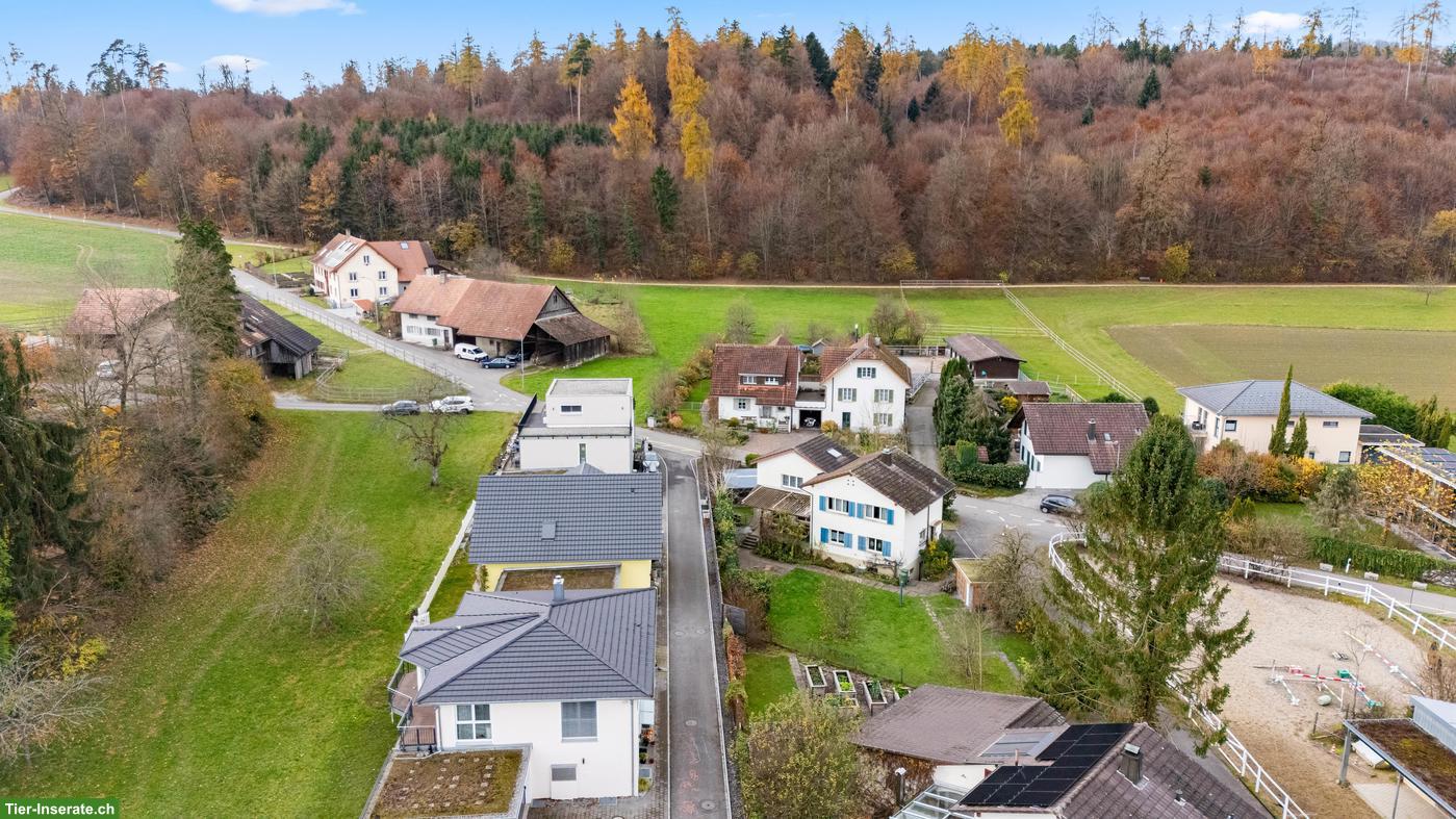 Bild 2: Einfamilienhaus 6.5-Zimmer für Tierliebhaber mit viel Platz, Hausen AG