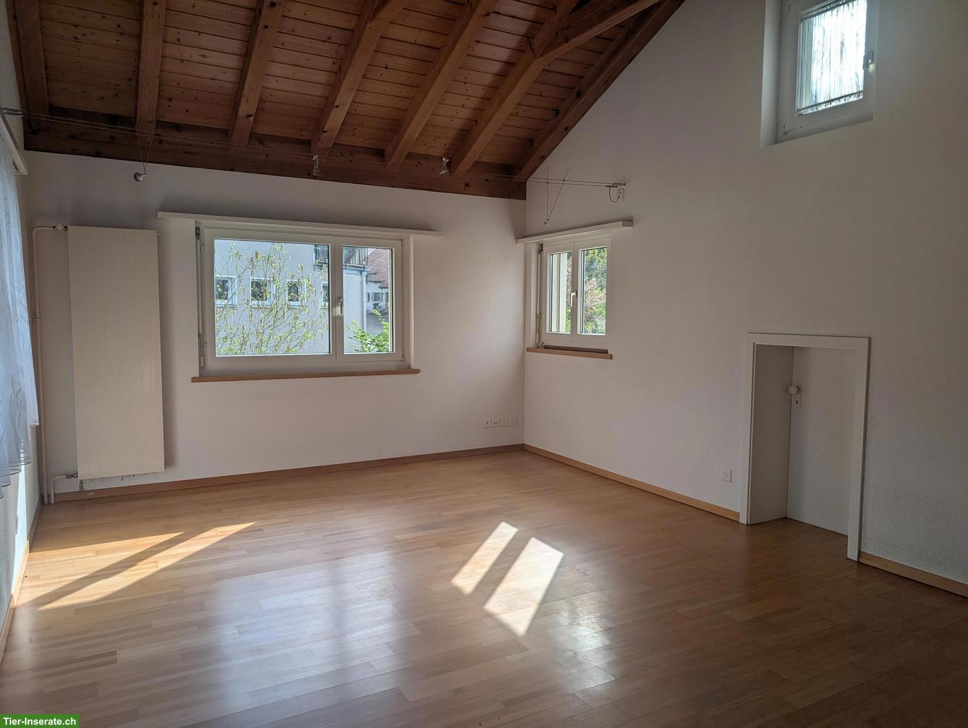 Bild 3: Einfamilienhaus 6.5-Zimmer für Tierliebhaber mit viel Platz, Hausen AG