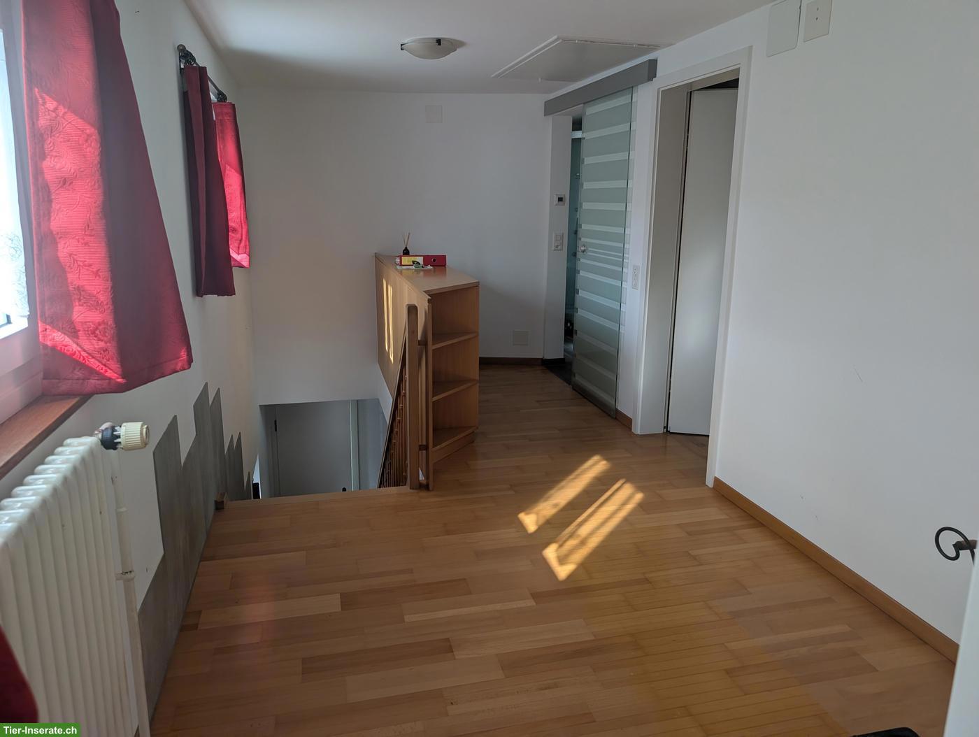 Bild 4: Einfamilienhaus 6.5-Zimmer für Tierliebhaber mit viel Platz, Hausen AG