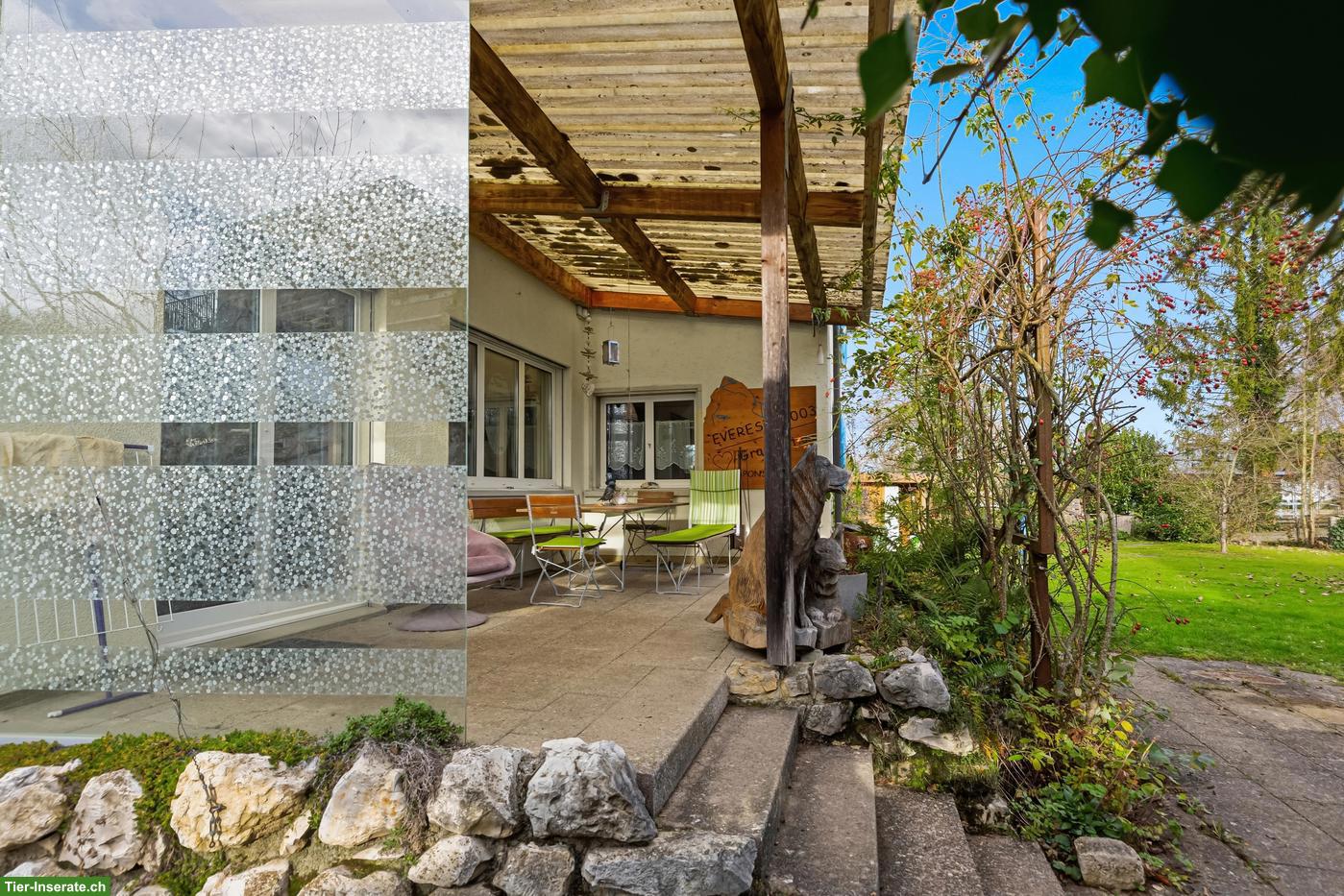 Bild 6: Einfamilienhaus 6.5-Zimmer für Tierliebhaber mit viel Platz, Hausen AG