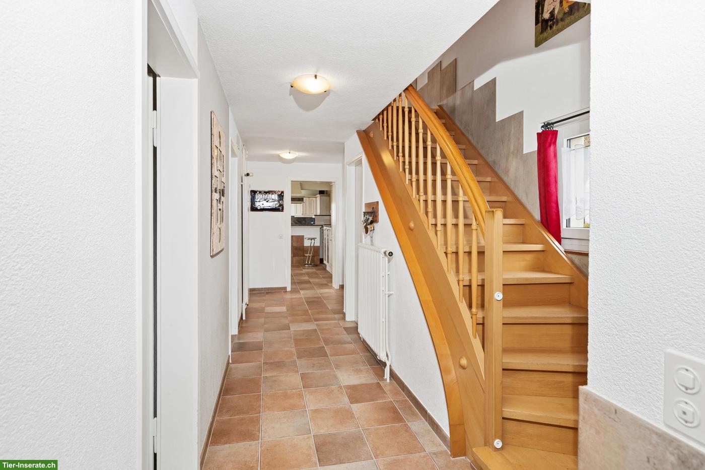 Bild 7: Einfamilienhaus 6.5-Zimmer für Tierliebhaber mit viel Platz, Hausen AG