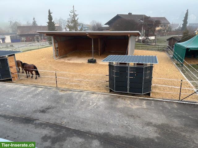Offenstallplätze frei mit Reithalle für leichtfuttrige Pferde