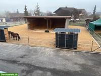 Offenstallplätze frei mit Reithalle für leichtfuttrige Pferde