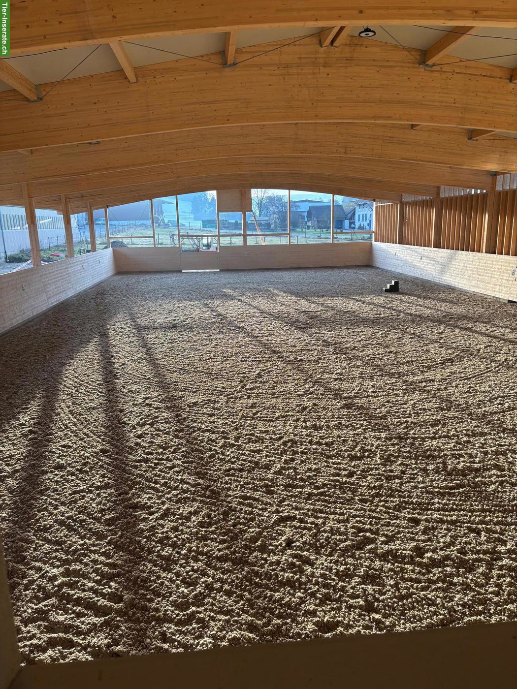 Bild 5: Offenstallplätze frei mit Reithalle für leichtfuttrige Pferde