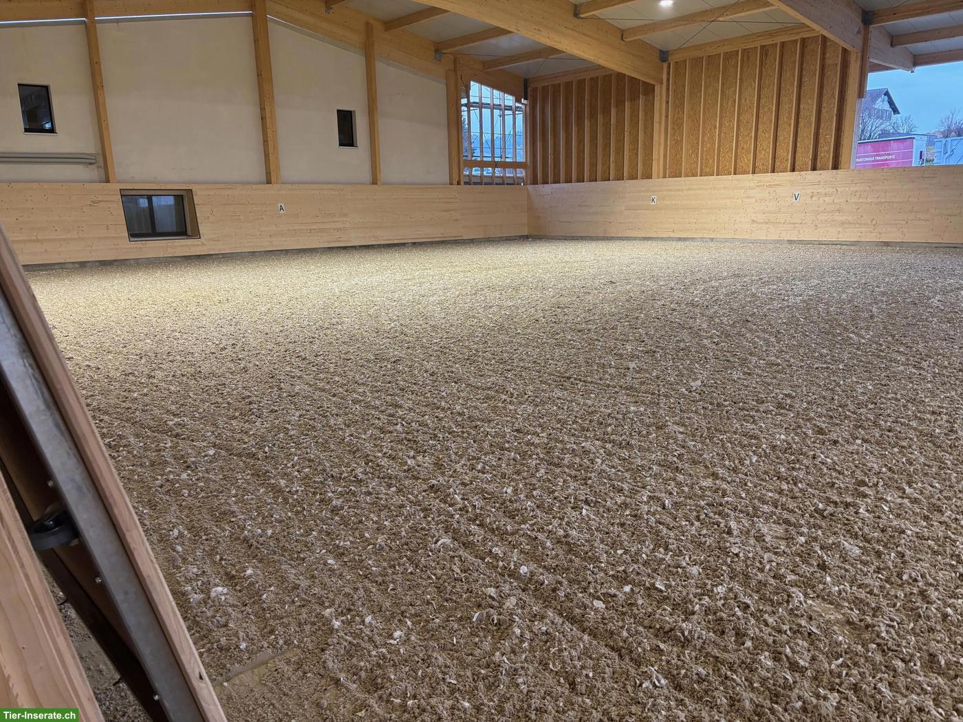 Bild 6: Offenstallplätze frei mit Reithalle für leichtfuttrige Pferde