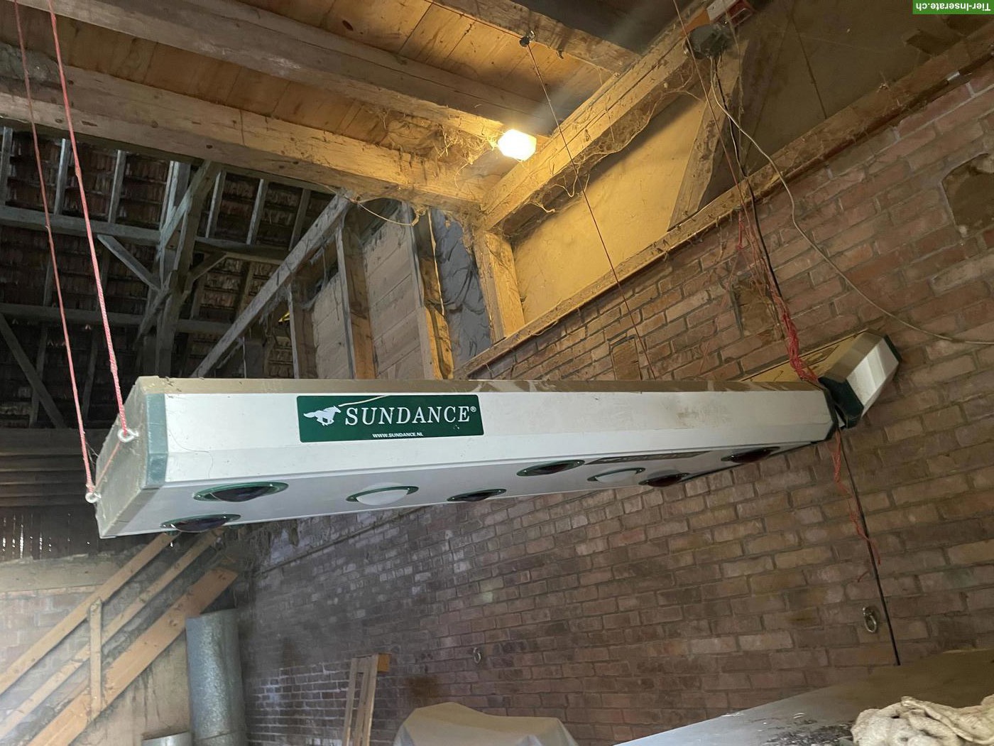 Solarium für Pferde Sundance zu verkaufen